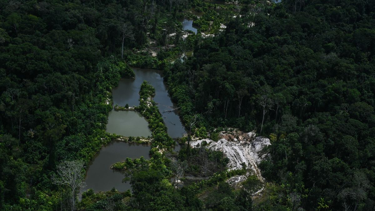 Tři scénáře pro drancovanou Amazonii: ani ten nejlepší nevěstí nic dobrého
